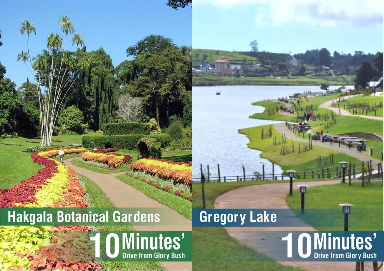 Glory Bush Boutique Villa Nuwara Eliya