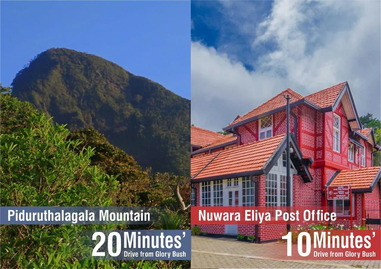 Glory Bush Boutique Villa Nuwara Eliya Sri Lanka